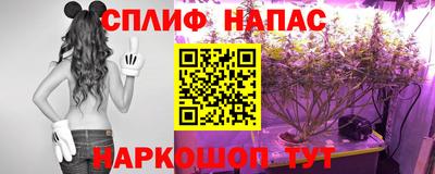 бошки Краснодар