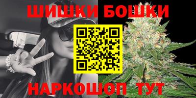 стафф Краснознаменск