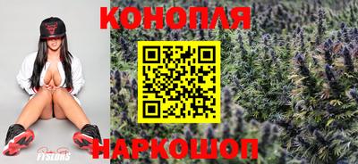 бошки Краснодар